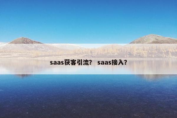 saas获客引流？ saas接入？