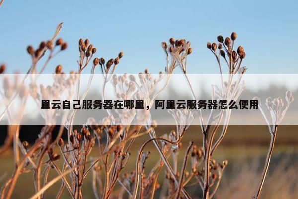 里云自己服务器在哪里，阿里云服务器怎么使用