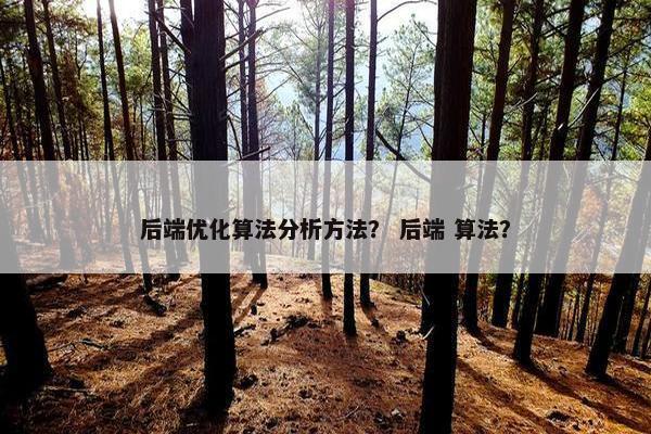 后端优化算法分析方法？ 后端 算法？
