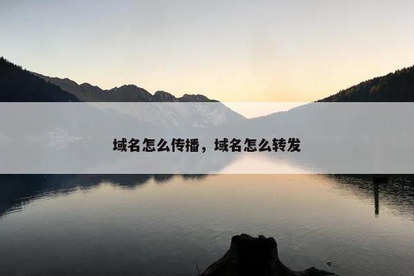 域名怎么传播，域名怎么转发