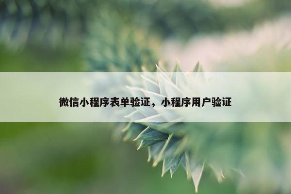 微信小程序表单验证，小程序用户验证