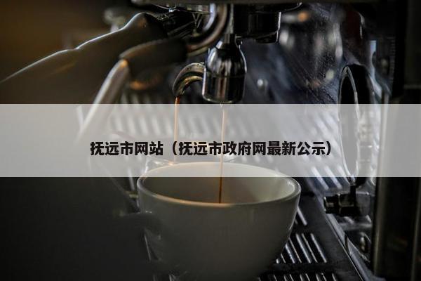 抚远市网站（抚远市政府网最新公示）