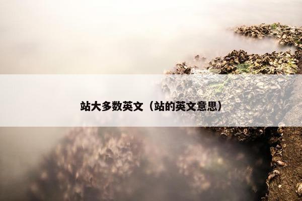 站大多数英文（站的英文意思）