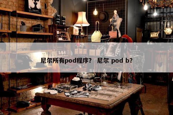 尼尔所有pod程序？ 尼尔 pod b？