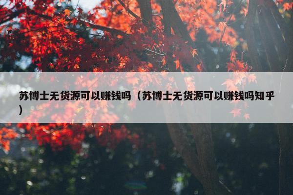 苏博士无货源可以赚钱吗（苏博士无货源可以赚钱吗知乎）