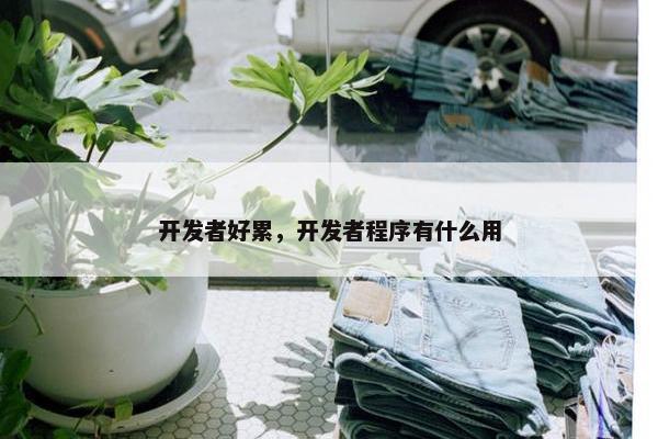 开发者好累，开发者程序有什么用
