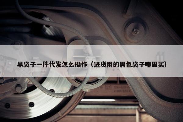 黑袋子一件代发怎么操作（进货用的黑色袋子哪里买）