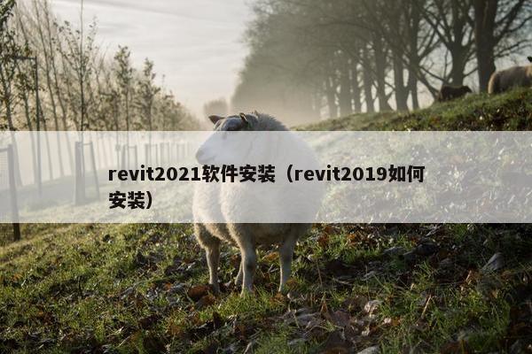 revit2021软件安装（revit2019如何安装）