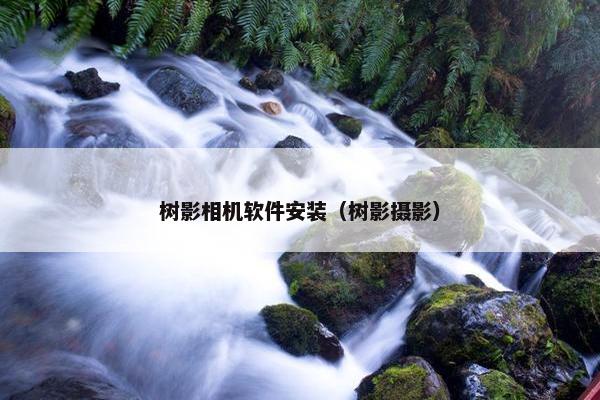 树影相机软件安装（树影摄影）
