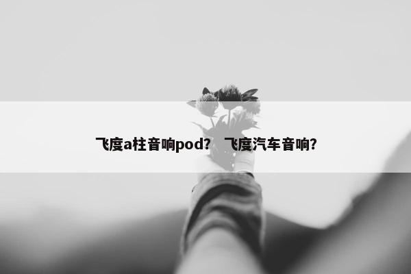 飞度a柱音响pod？ 飞度汽车音响？