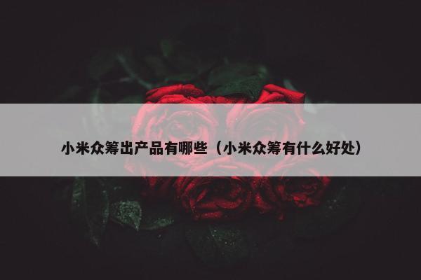 小米众筹出产品有哪些（小米众筹有什么好处）