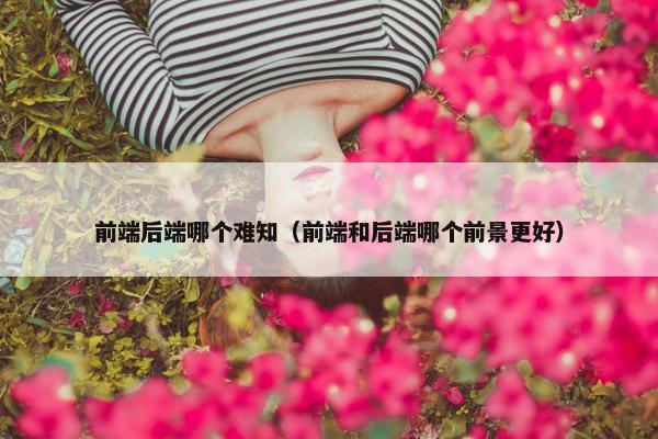前端后端哪个难知（前端和后端哪个前景更好）