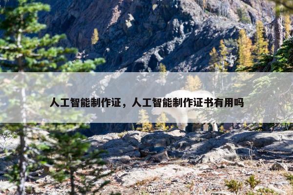 人工智能制作证，人工智能制作证书有用吗
