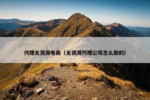 代理无货源电商（无货源代理公司怎么做的）