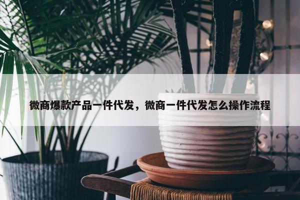 微商爆款产品一件代发，微商一件代发怎么操作流程