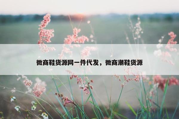 微商鞋货源网一件代发，微商潮鞋货源