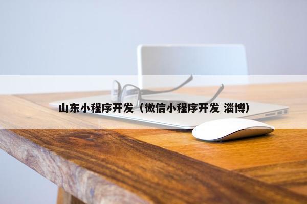 山东小程序开发（微信小程序开发 淄博）