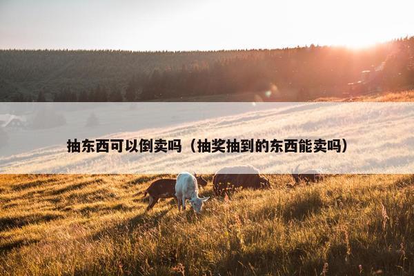 抽东西可以倒卖吗（抽奖抽到的东西能卖吗）