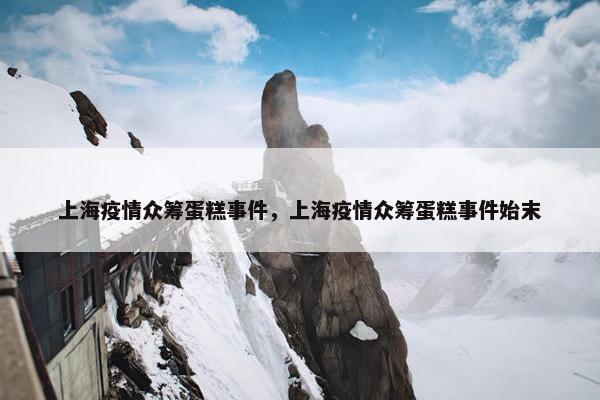 上海疫情众筹蛋糕事件，上海疫情众筹蛋糕事件始末