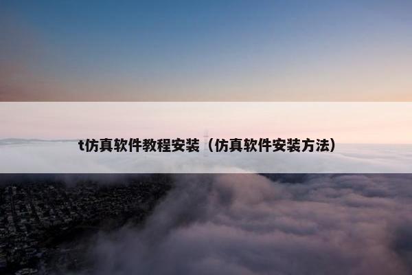 t仿真软件教程安装（仿真软件安装方法）