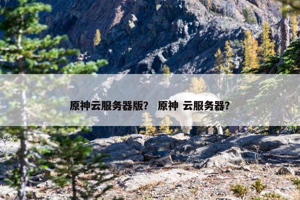 原神云服务器版？ 原神 云服务器？