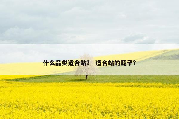 什么品类适合站？ 适合站的鞋子？