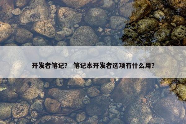 开发者笔记？ 笔记本开发者选项有什么用？
