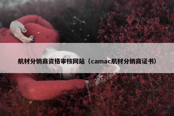 航材分销商资格审核网站（camac航材分销商证书）