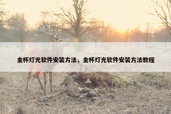 金杯灯光软件安装方法，金杯灯光软件安装方法教程
