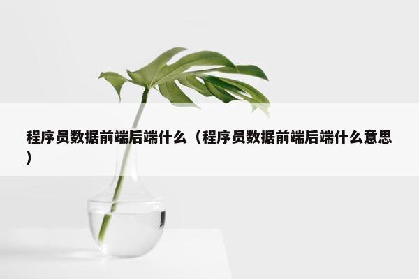 程序员数据前端后端什么（程序员数据前端后端什么意思）