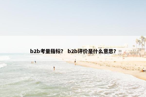 b2b考量指标？ b2b评价是什么意思？