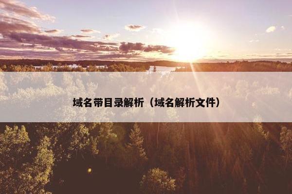 域名带目录解析（域名解析文件）