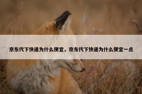京东代下快递为什么便宜，京东代下快递为什么便宜一点