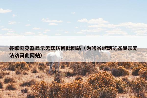 谷歌浏览器显示无法访问此网站（为啥谷歌浏览器显示无法访问此网站）