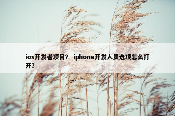 ios开发者项目？ iphone开发人员选项怎么打开？
