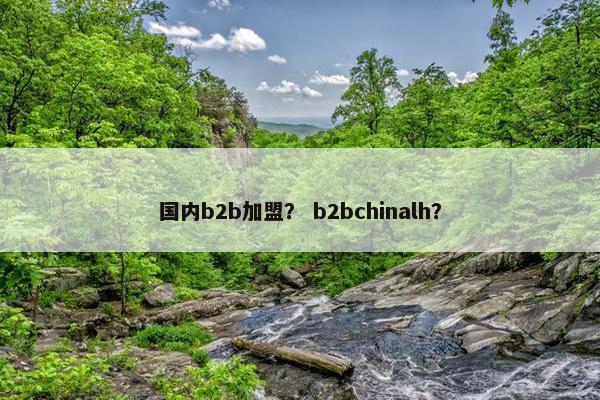 国内b2b加盟？ b2bchinalh？