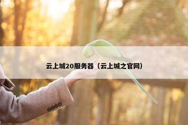 云上城20服务器（云上城之官网）