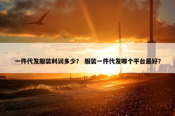 一件代发服装利润多少？ 服装一件代发哪个平台最好？