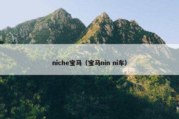 niche宝马（宝马nin ni车）
