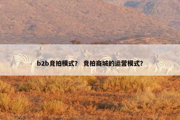 b2b竞拍模式？ 竞拍商城的运营模式？
