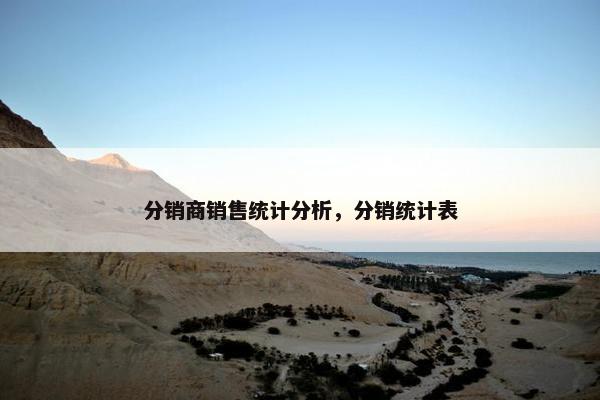 分销商销售统计分析，分销统计表