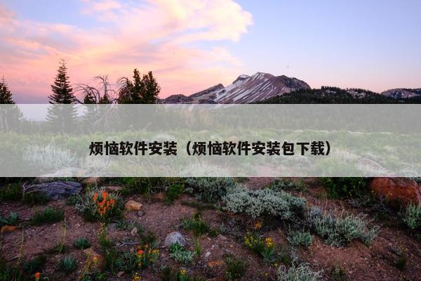 烦恼软件安装（烦恼软件安装包下载）