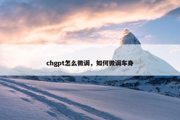 chgpt怎么微调，如何微调车身