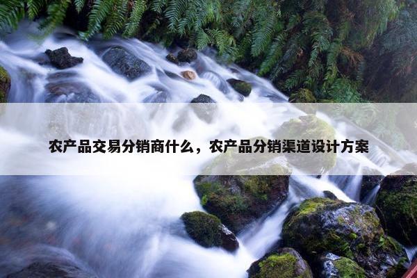农产品交易分销商什么，农产品分销渠道设计方案