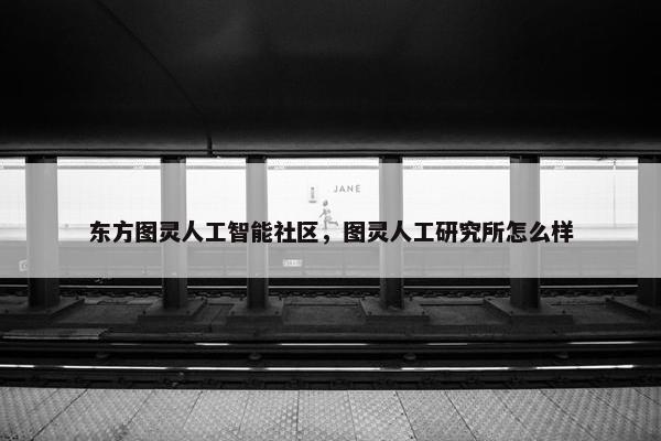 东方图灵人工智能社区，图灵人工研究所怎么样