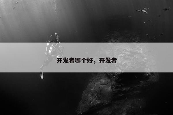 开发者哪个好，开发者