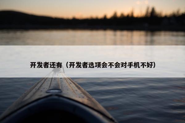 开发者还有（开发者选项会不会对手机不好）