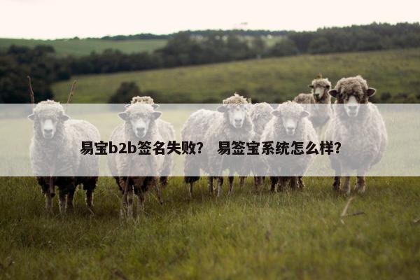 易宝b2b签名失败？ 易签宝系统怎么样？