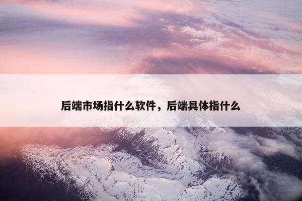 后端市场指什么软件，后端具体指什么