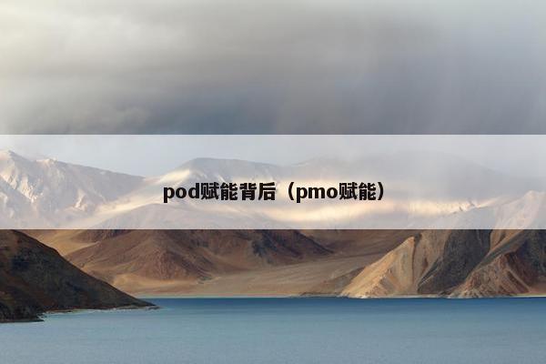pod赋能背后（pmo赋能）